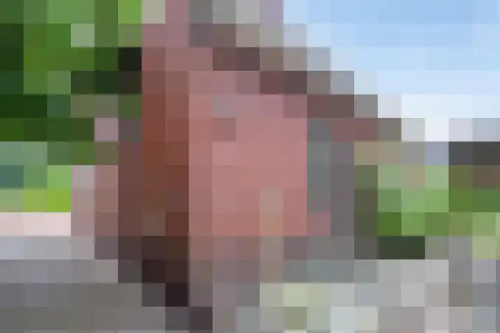 Hoornweg 7 Marum thumbnail 28