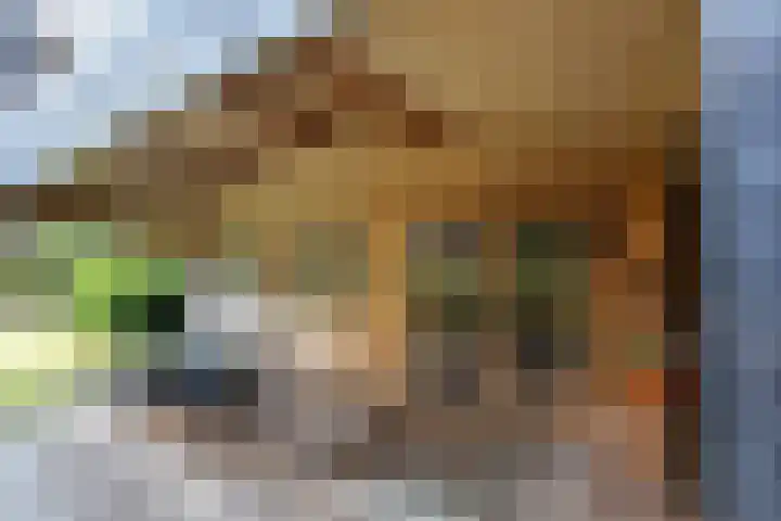 Hoornweg 7 Marum thumbnail 29