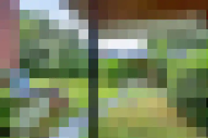 Hoornweg 7 Marum thumbnail 30