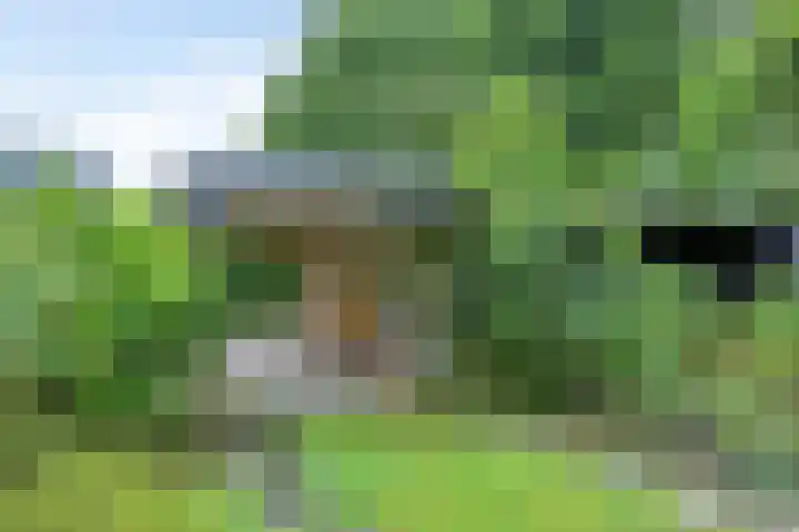 Hoornweg 7 Marum thumbnail 31