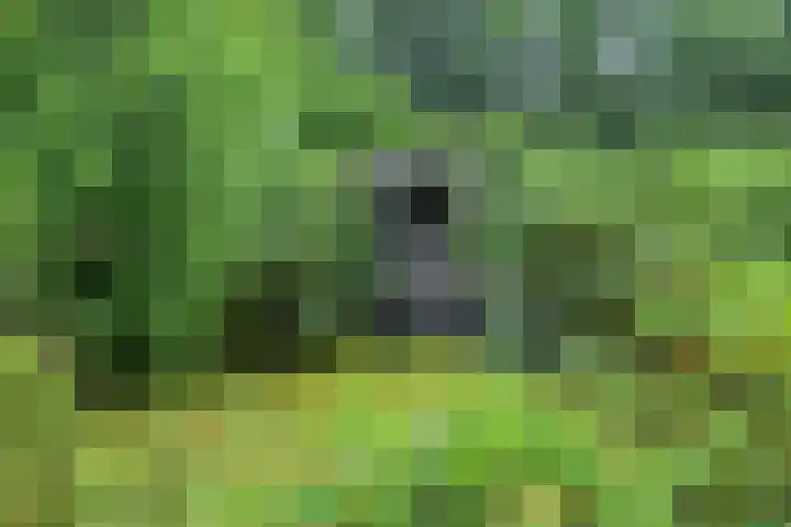 Hoornweg 7 Marum thumbnail 34