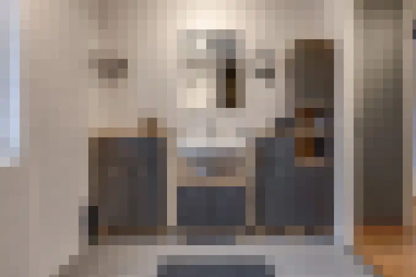 Hoornwerk 100 Emmen thumbnail 18