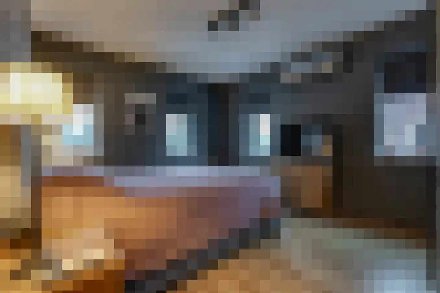 Hoornwerk 100 Emmen thumbnail 22