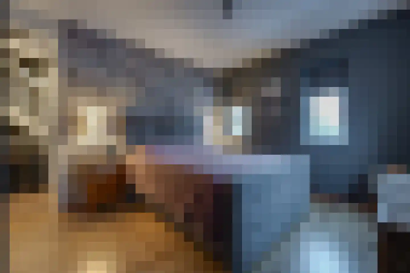 Hoornwerk 100 Emmen thumbnail 23