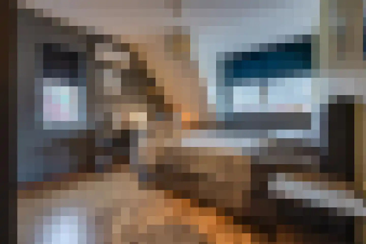 Hoornwerk 100 Emmen thumbnail 26