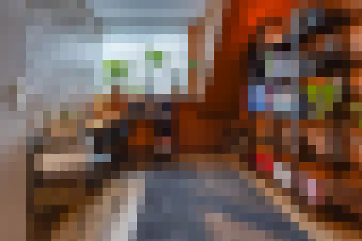 Hoornwerk 100 Emmen thumbnail 28
