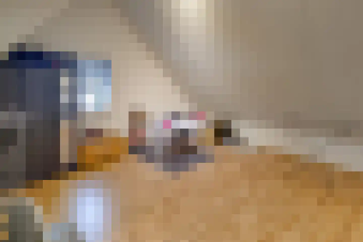 Hoornwerk 100 Emmen thumbnail 31