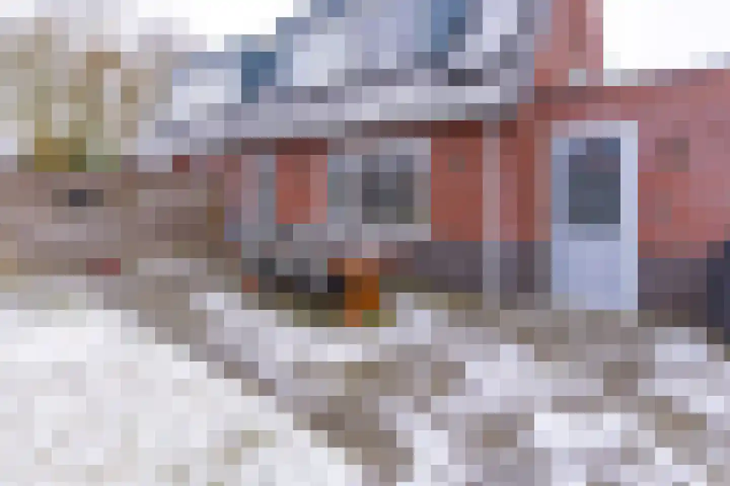 Hoornwerk 100 Emmen thumbnail 33