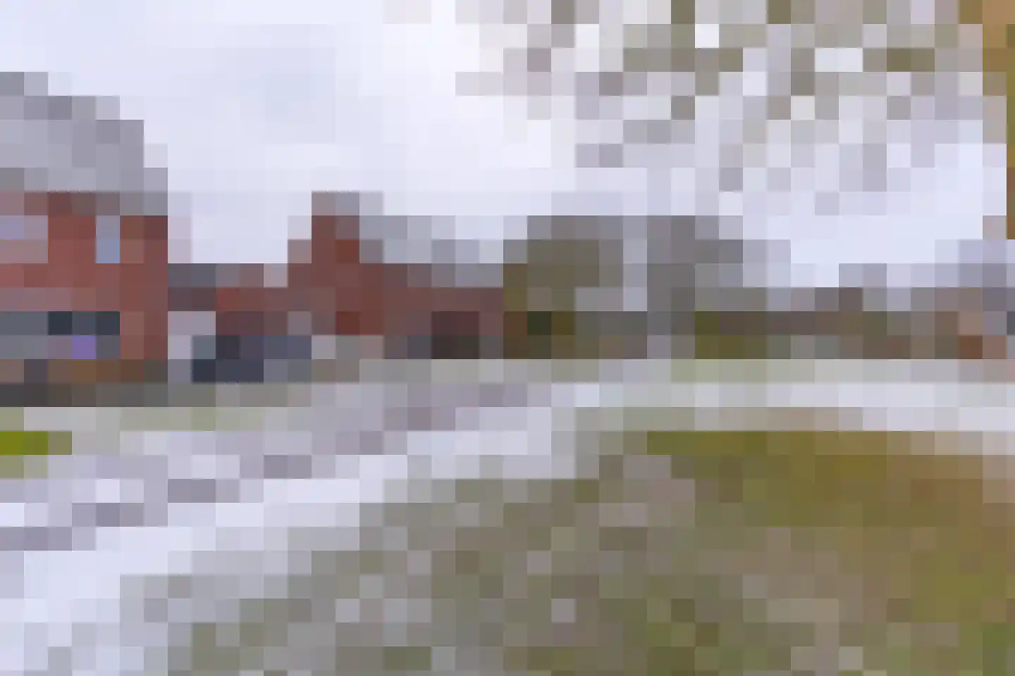 Hoornwerk 100 Emmen thumbnail 5