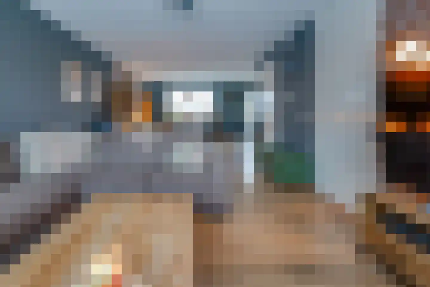 Hoornwerk 100 Emmen thumbnail 9