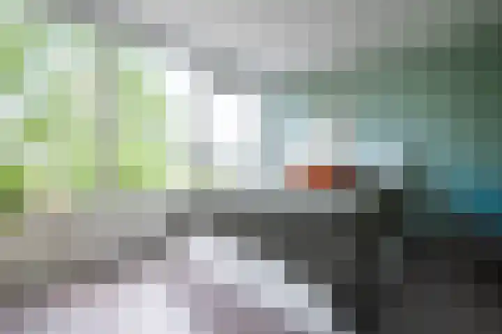 Hoornwerk 12 Gorinchem thumbnail 13