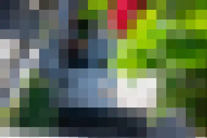 Hoornwerk 12 Gorinchem thumbnail 6