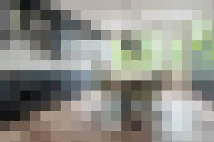 Hoornwerk 12 Gorinchem thumbnail 9