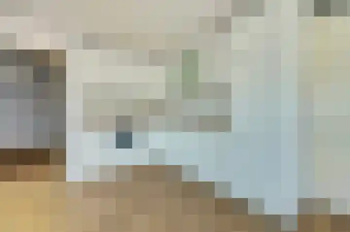 Hoornwerk 14 Zutphen thumbnail 12
