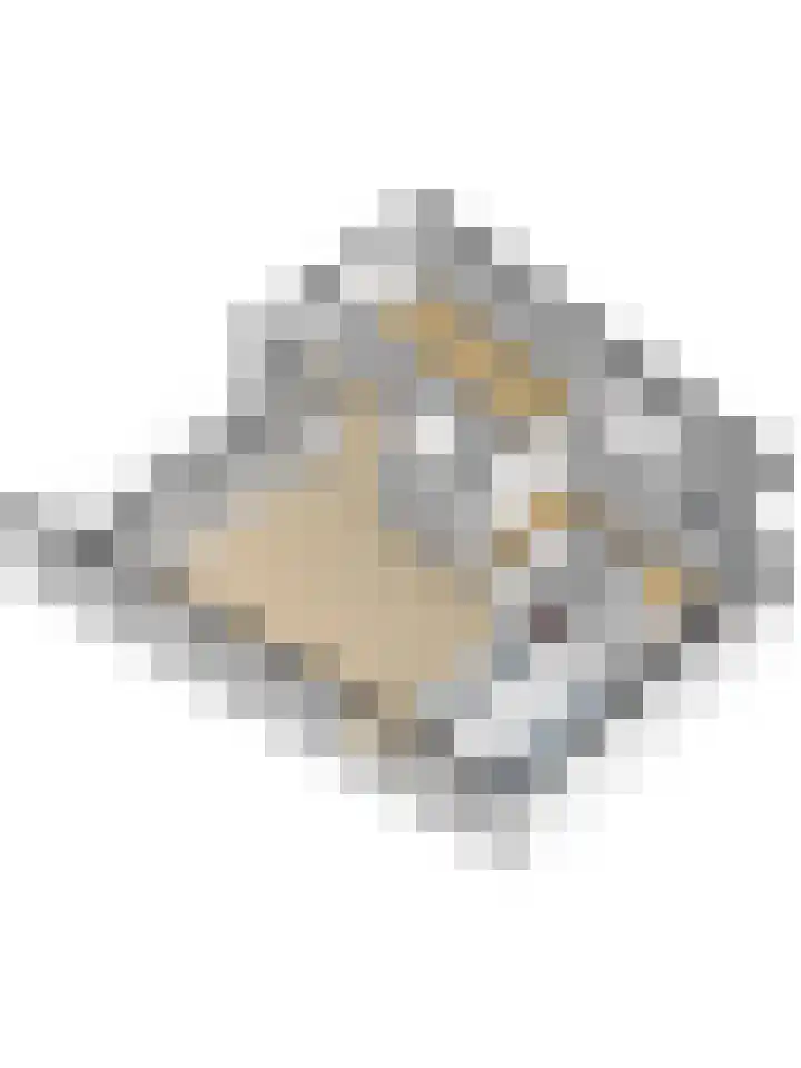 Hoornwerk 14 Zutphen thumbnail 32