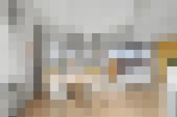 Hoornwerk 148 Zutphen thumbnail 12