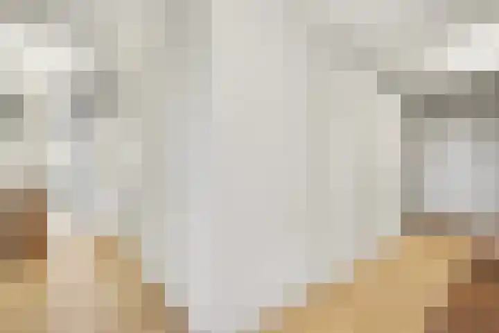 Hoornwerk 148 Zutphen thumbnail 14