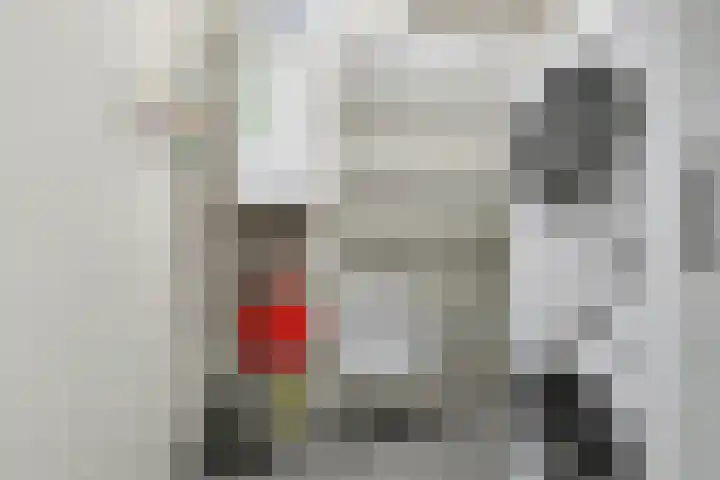 Hoornwerk 148 Zutphen thumbnail 15