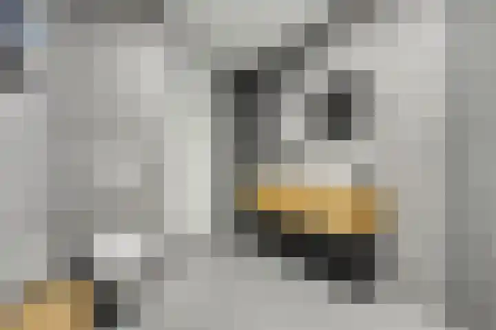 Hoornwerk 148 Zutphen thumbnail 23