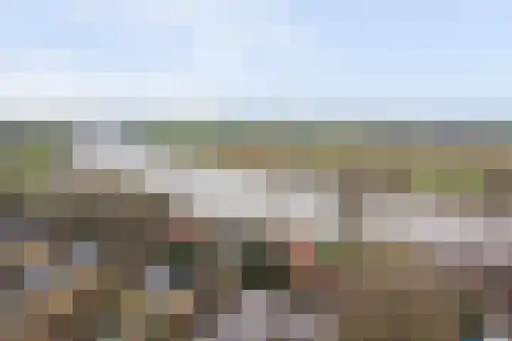 Hoornwerk 148 Zutphen thumbnail 39
