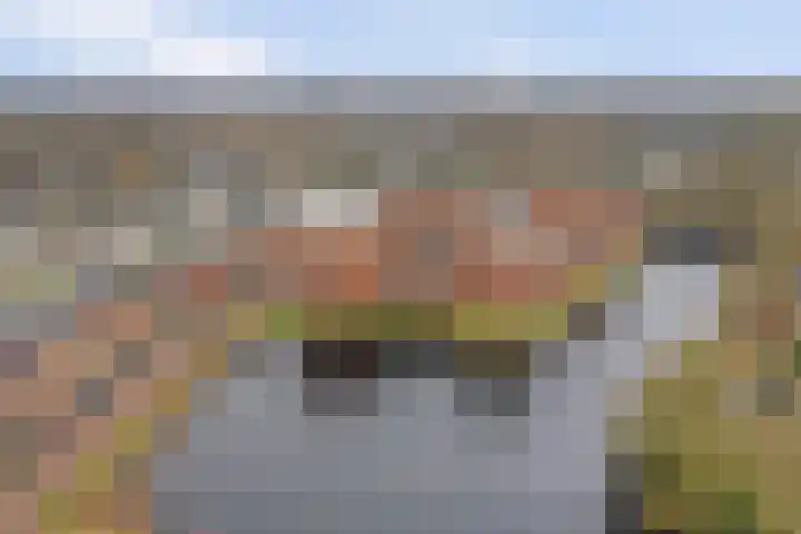 Hoornwerk 148 Zutphen thumbnail 41
