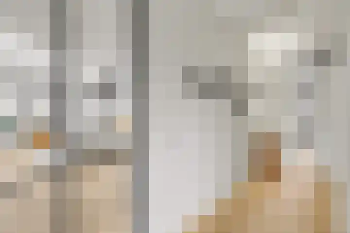 Hoornwerk 148 Zutphen thumbnail 5
