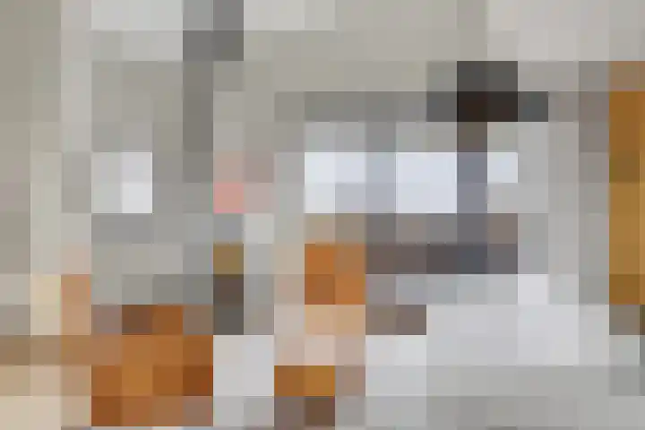Hoornwerk 148 Zutphen thumbnail 6