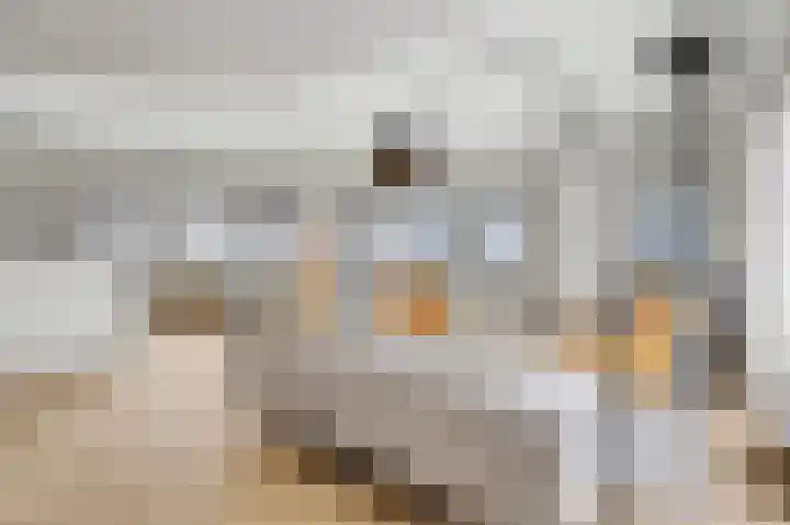 Hoornwerk 148 Zutphen thumbnail 8