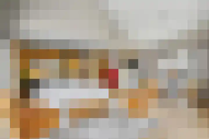 Hoornwerk 148 Zutphen thumbnail 9