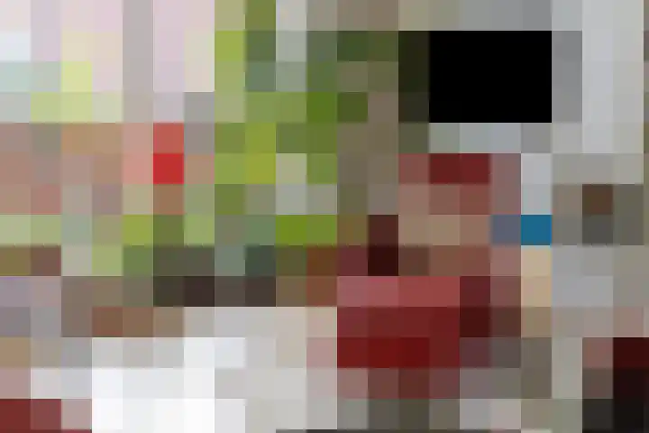 Hoornwerk 160 Zutphen thumbnail 13