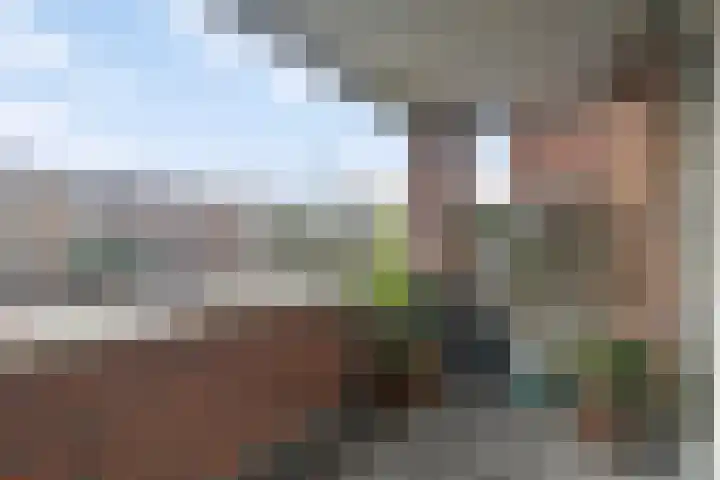 Hoornwerk 160 Zutphen thumbnail 14