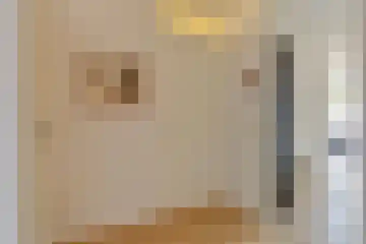 Hoornwerk 160 Zutphen thumbnail 19