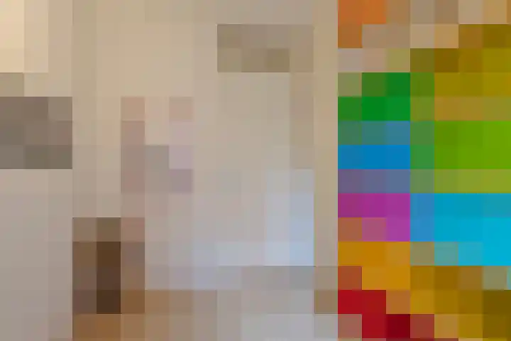 Hoornwerk 160 Zutphen thumbnail 25