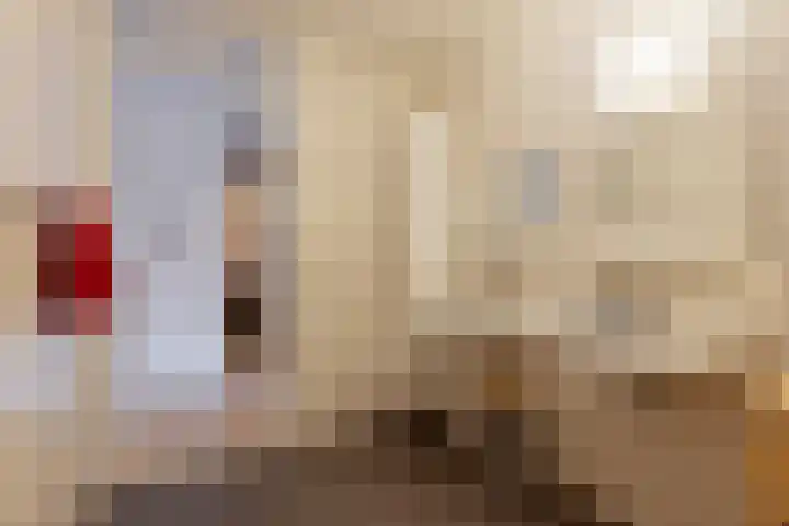 Hoornwerk 160 Zutphen thumbnail 27