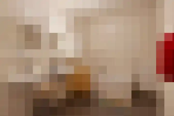 Hoornwerk 160 Zutphen thumbnail 28