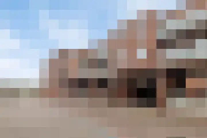 Hoornwerk 160 Zutphen thumbnail 32