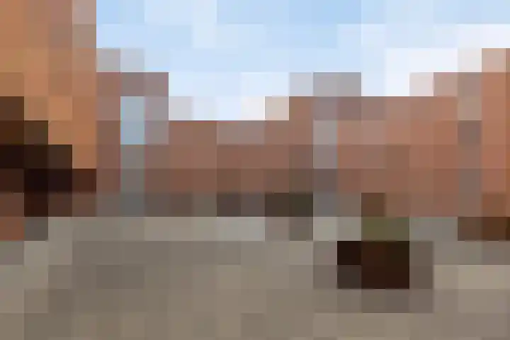 Hoornwerk 160 Zutphen thumbnail 36