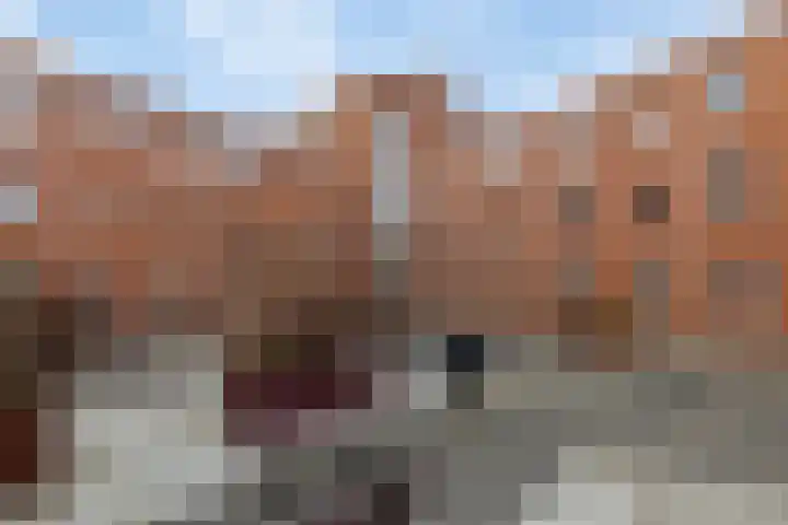 Hoornwerk 160 Zutphen thumbnail 6