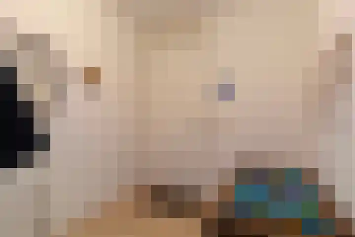 Hoornwerk 160 Zutphen thumbnail 8