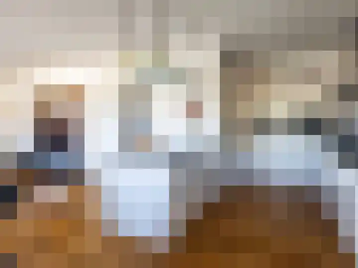 Hoornwerk 208 Zutphen thumbnail 10
