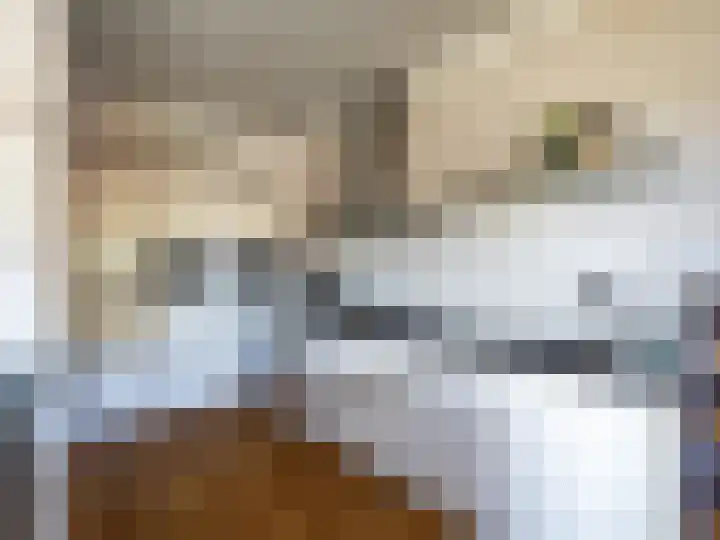Hoornwerk 208 Zutphen thumbnail 11
