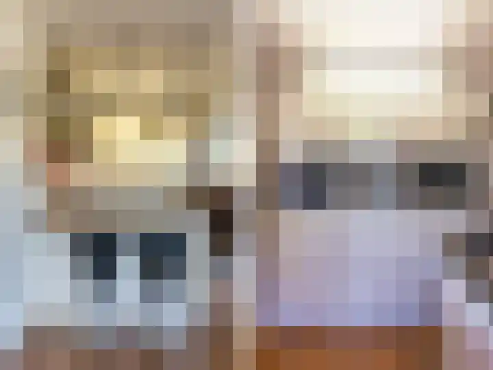 Hoornwerk 208 Zutphen thumbnail 12