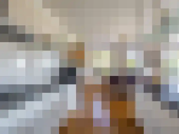 Hoornwerk 208 Zutphen thumbnail 13