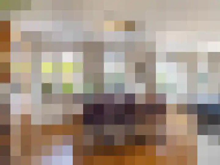 Hoornwerk 208 Zutphen thumbnail 15