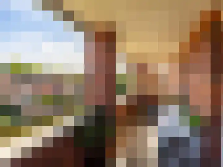 Hoornwerk 208 Zutphen thumbnail 17