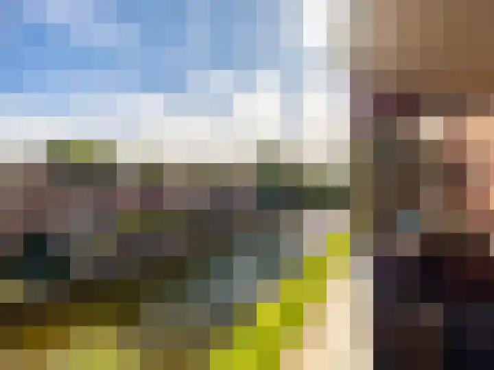 Hoornwerk 208 Zutphen thumbnail 19