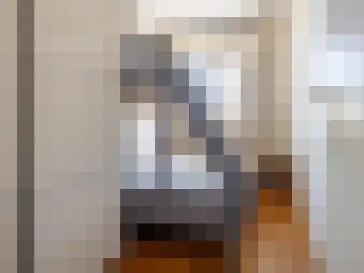 Hoornwerk 208 Zutphen thumbnail 25
