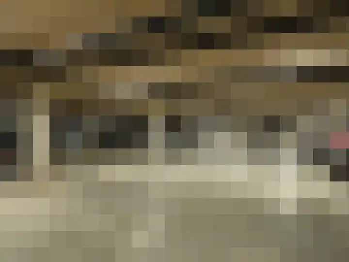 Hoornwerk 208 Zutphen thumbnail 31