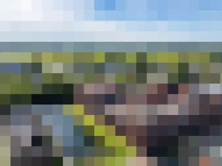 Hoornwerk 208 Zutphen thumbnail 32