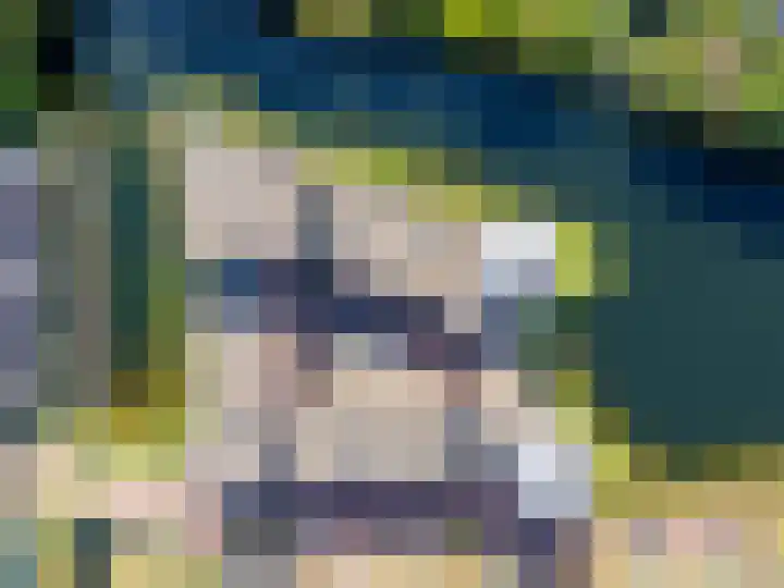 Hoornwerk 208 Zutphen thumbnail 33